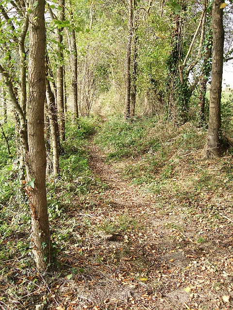 futur trail 025.jpg